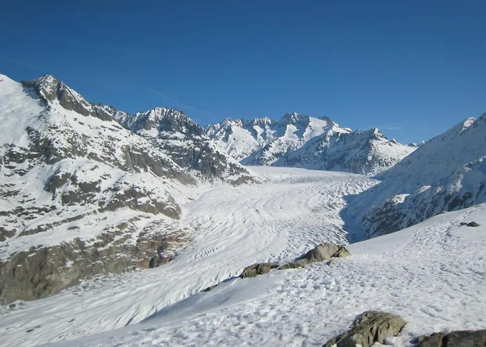 Royal B26 * ريرالب